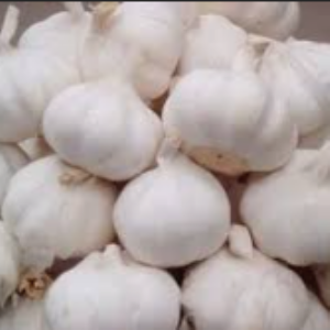 लसणाचे काही औषधी गुणधर्म